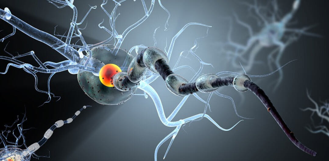 Ms breakingword.com | Diagnosing Multiple Sclerosis